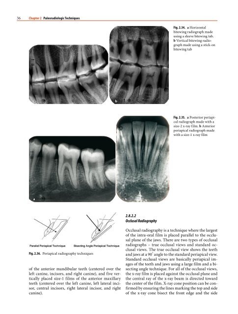 1 Paleoradiology: History and New Developments - Academia.dk