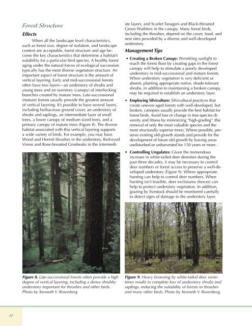 A Land Manager's Guide to Improving Habitat for Forest Thrushes