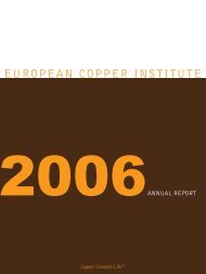 European Copper Institute 2006 Annual Report