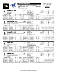 Borrack (NZ) (150) Crafty Cruiser (147) Brungle ... - Australian Racing