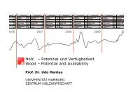 Holz – Potenzial und Verfügbarkeit Wood – Potential and Availability