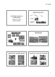 ppt Raf De Saeger - Ruimtelijk netwerk als beeldkwaliteit.ppt ...