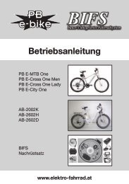 BIFS - Elektro Fahrrad
