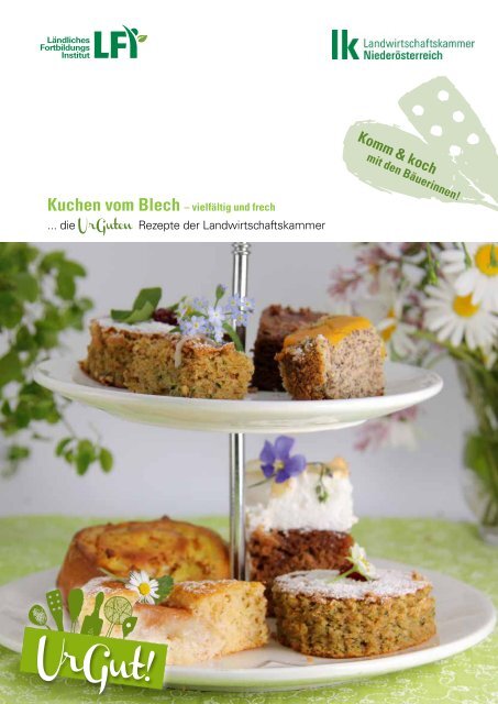 Broschüre Kuchen vom Blech