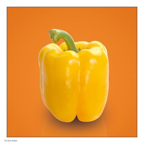 Paprika collection printemps 2020 sales