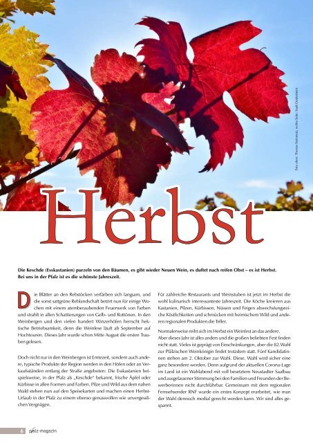 pfalz-magazin Herbst 2020 Jahrgang 12 Ausg. 56