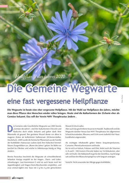 pfalz-magazin Herbst 2020 Jahrgang 12 Ausg. 56