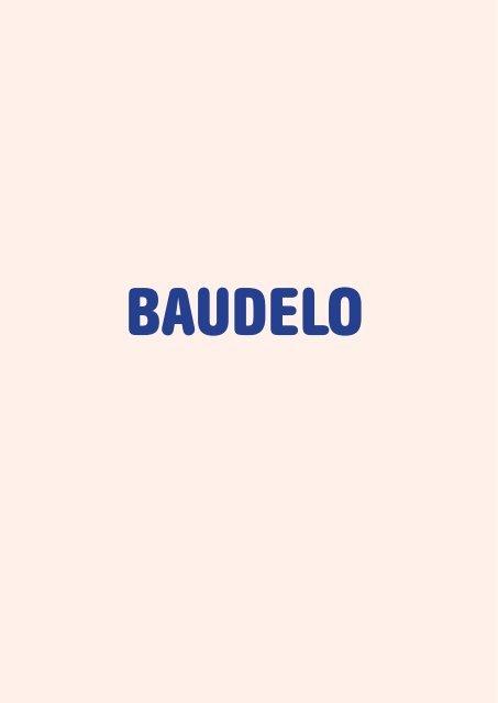 Baudelo Sociaal-ruimtelijk onderzoek - Eindrapport 