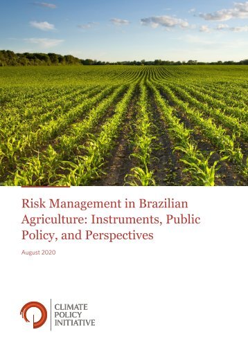 Report - Risk Management in Brazilian Agriculture