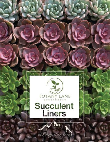 Botany Lane Succulent Liner Catalog 2020