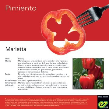 Leaflet Marletta 2020