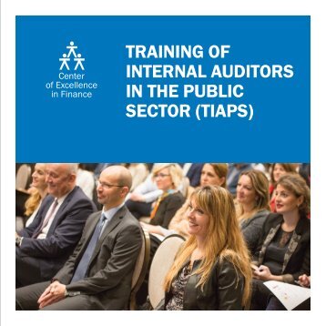 Training of Internal Auditors in the Public Sector (TIAPS)