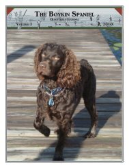 The Boykin Spaniel - Hollow Creek Kennel