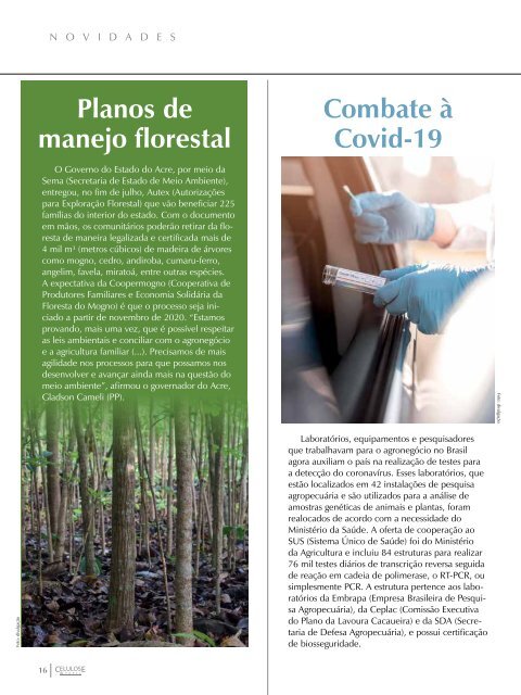 *Agosto/2020 Revista Celulose & Papel 46