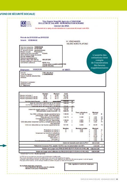 Les Guides du SGV - Emploi de main-d'œuvre vendange 2020 (mise à jour 2808)