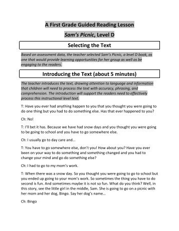 A First Grade Guided Reading Lesson Sam's Picnic, Level D ...