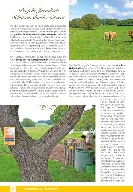 Freizeitmagazin Bayerischer Jura September 2020