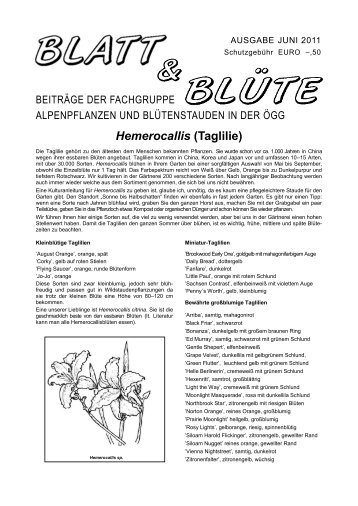 Hemerocallis (Taglilie) - ÖGG
