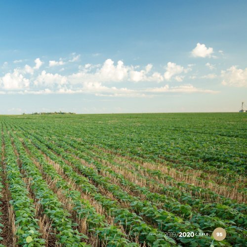 Relatório de Sustentabilidade 2019/2020