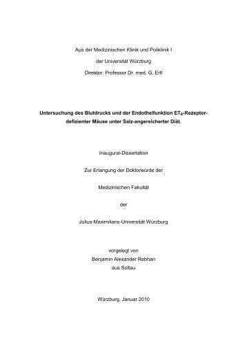 Rebhan Dissertation ohne Lebenslauf - OPUS - Universität Würzburg