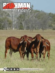 DOWNLOAD PDF 12mb - Australian Brahman Breeders Association