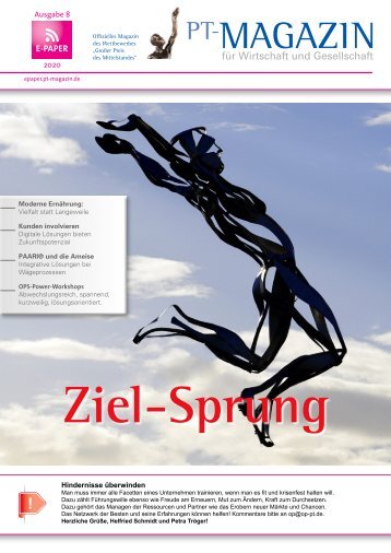 E-Paper 08 Ziel-Sprung