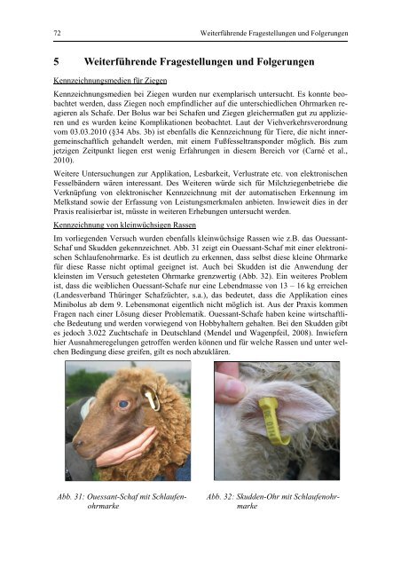 Elektronische Kennzeichnung bei Schafen und Ziegen zum Zweck