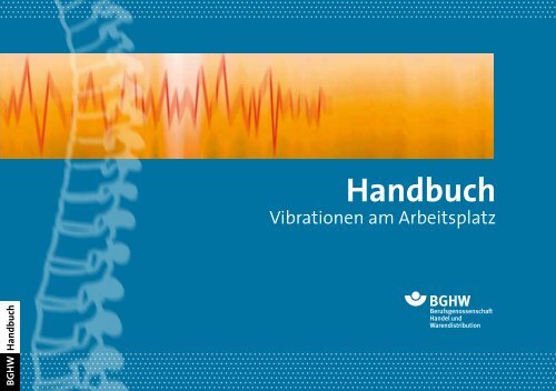 Handbuch "Vibrationen am Arbeitsplatz" - Berufsgenossenschaft ...