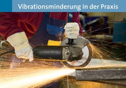 Handbuch "Vibrationen am Arbeitsplatz" - Berufsgenossenschaft ...