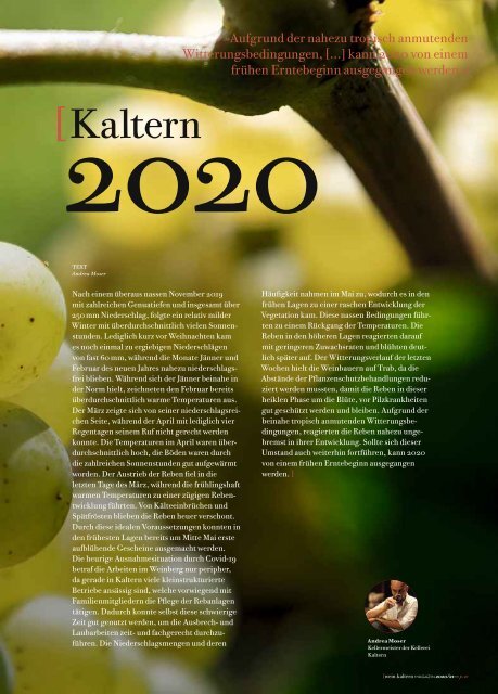 wein.kaltern Magazin 2020