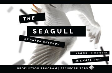 The Seagull Prodution Program