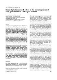 Mode of phytochrome B action in the photoregulation of seed ...