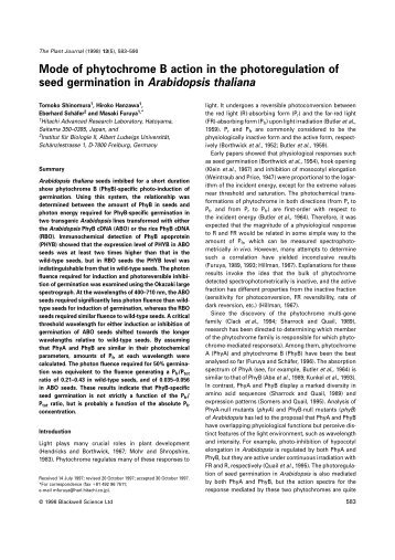 Mode of phytochrome B action in the photoregulation of seed ...