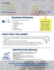 Baldrige Scrum Master - Overview