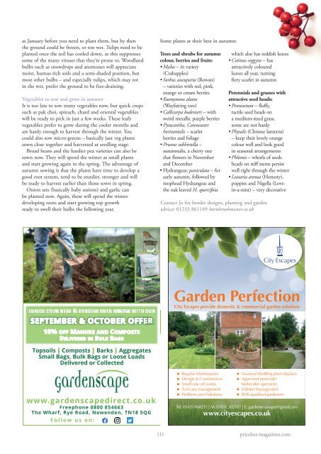 Wealden Times | WT223 | Sept & Oct 2020 | Kitchen & Bathroom supplement inside