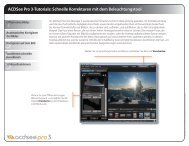 ACDSee Pro 3-Tutorials: Schnelle Korrekturen mit dem ...