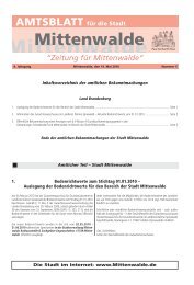 Die Stadt im Internet: www.Mittenwalde.de Inhaltsverzeichnis der ...