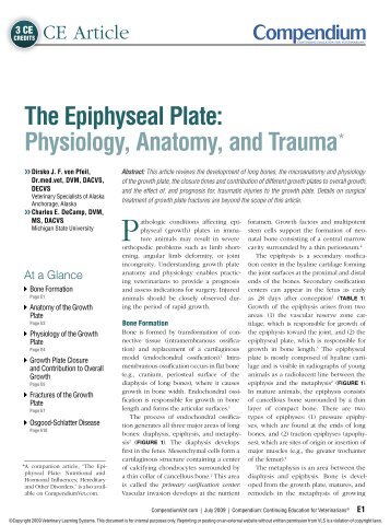 The Epiphyseal Plate: Physiology, Anatomy, and ... - VetLearn.com