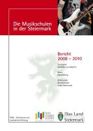 Die Musikschulen in der Steiermark Bericht 2008 - 2010