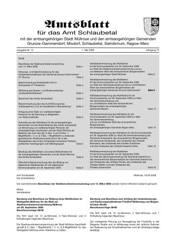 Amtsblatt_Mai_2008 - Amt Schlaubetal