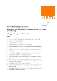 DIJuF-Themengutachten