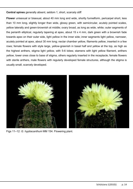 Volume 1, Issue 1, 2010 ISSN 2191-3099 - Schütziana