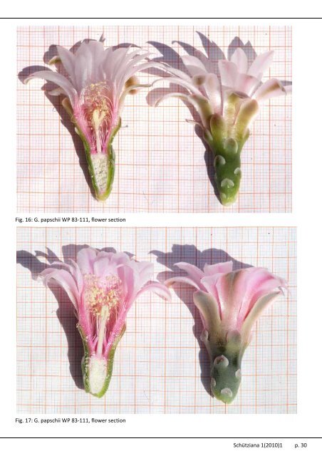 Volume 1, Issue 1, 2010 ISSN 2191-3099 - Schütziana