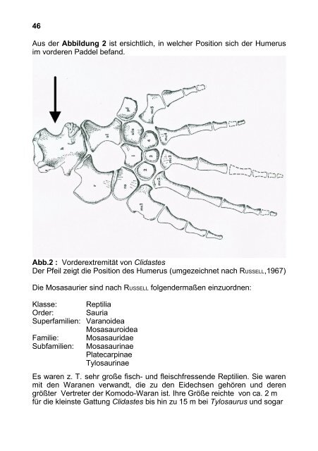 2 - Arbeitskreis Paläontologie Hannover