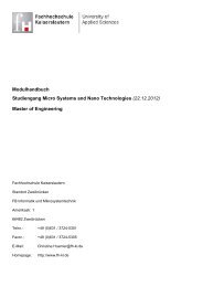 Modulhandbuch Studiengang Micro Systems and Nano Technologies
