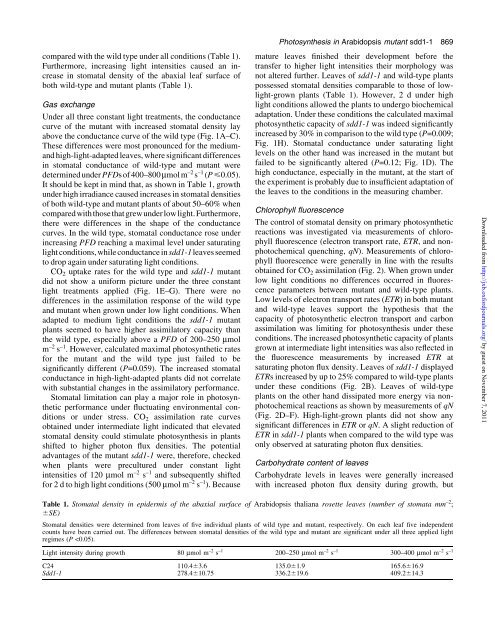 under different light regimes - Biology Department