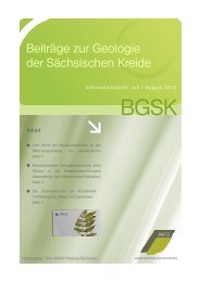 INFO - Beiträge zur Geologie der Sächsischen Kreide