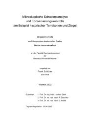 Dissertation - Amtliche Materialprüfungsanstalt