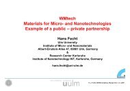 WMtech Materials for Micro- and Nanotechnologies Example of a ...