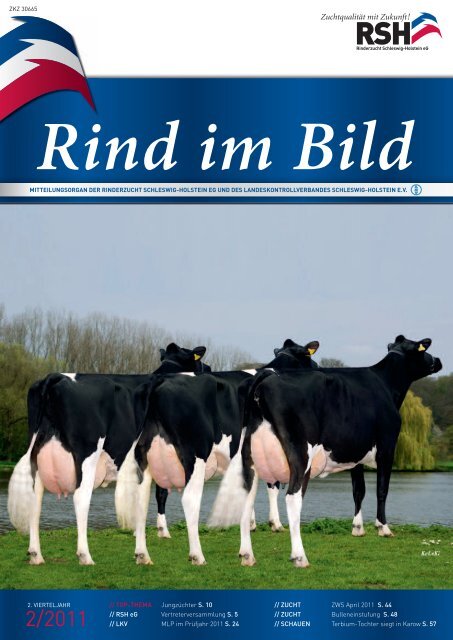 Rind im Bild 2/2011 1 - Rinderzucht Schleswig-Holstein e.G.